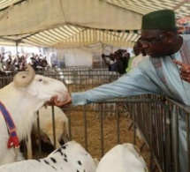 Les décisions majeures de Macky Sall pour la Tabaski 2020 dévoilées