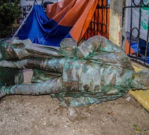Manifestation à Lille pour le retrait d’une statue, « symbole du colonialisme » ( France )