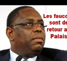 Les faucons reprennent service : Le temps de se débarrasser d’eux pour de bon