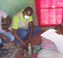 Incroyable à Touba : Décès d’un patient du covid-19 qui s’était enfui du centre de traitement