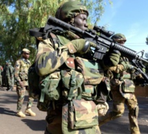 Casamance : L’armée pilonne les rebelles et leurs bases dans la forêt de Mbissine