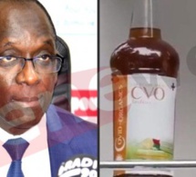 Utilisation du Covid-Organics: Diouf Sarr fait une révélation de taille
