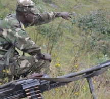 Casamance : L’armée Pilonne La Forêt De Mbissine