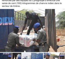 Mbour: La gendarmerie a saisi 100 kg de chanvre indien
