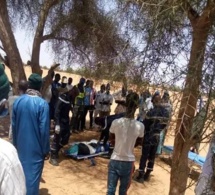 Louga : Un jeune homme meurt tué par son tracteur