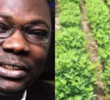 Le journaliste Mbaye Thiandoum sur les 90H.a de Miessa Ngom à Sindia « le Conseil rural de Sindia ne s’est jamais réuni pour délibérer sur ces 90h »
