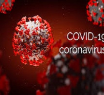 Covid-19: les Etats-Unis franchissent le cap des 3 millions de cas, plus de 131 000 morts enregistrés