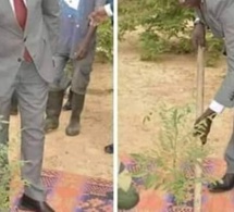 Accusé De Braconnage, Abdou Karim SALL Envoie Un Troisième Journaliste À La DIC