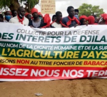 Foncier : Les populations de Djilakh tournent en dérision la conférence de presse de Babacar Ngom et appellent à une marche nationale le 17 juillet