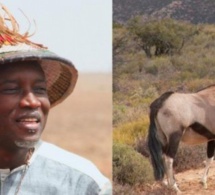 Reserve de « Kilim » : Aly Ngouille a reçu trois gazelles (1 mâle et 2 femelles)