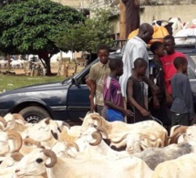 Covid -19 - Mesures barrières aux foirails - Ces recommandations impossibles de...