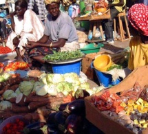 Sénégal : Baisse des chiffres d’affaires des services et du commerce en avril 2020