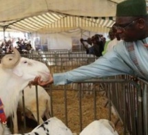 Approvisionnement en moutons de Tabaski : Les instructions fermes de Macky à ses ministres