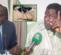 Tabaski – La réplique salée de Iran Ndao à Diouf Sarr: « Kèn manouma té wakh deug…Yallah kèn dou… »