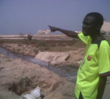 Mbao - Expropriation de terres - Mame Boye Diao et le Gouverneur de Dakar cités, 31 milliards F CFA en jeu