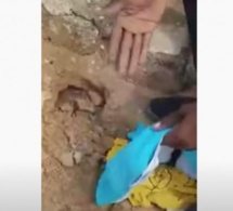 Touba Des sacrifices retrouvés dans une Tombe avec des habits d’enfants