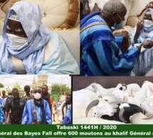 Tabaski 2020 : Le khalife des Bayes Fall offre 600 moutons à Serigne Mountakha…
