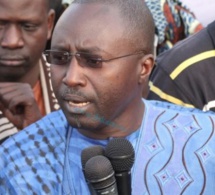 Momar Ndao: « Il faut un arrêté ministériel pour fixer les prix des moutons »