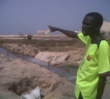 Expropriation de terres à Mbao - Le scandale de 31 milliards F CFA refait surface, Mame Boye Diao mouillé