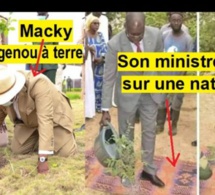 Journée De L’arbre 2020 : Macky Corrige Le Ministre De L’Environnement