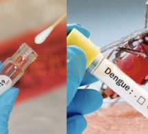 Kaffrine : L’offensive des autorités contre le Coronavirus et la Dengue