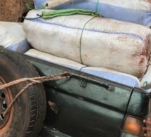 Trafic de drogue : Quatre individus à bord de motocyclettes arrêtés avec 110 kg de chanvre