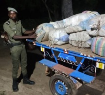 LUTTE CONTRE LE TRAFIC INTERNATIONAL DE STUPEFIANTS : 456 kg de chanvre indien saisis en 24h par la Subdivision des Douanes de Fatick.