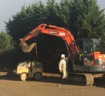 Le Plan Sénégal Emergent Vert en promotion: Pourtant des bulldozers rasent des arbres