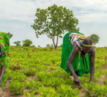 La pauvreté dans le monde est en hausse après des décennies de progrès et les femmes sont les plus touchées