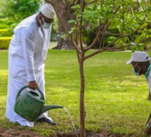 Arret sur image : Macky Sall entrain d’arroser les arbres du palais…Regardez