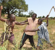 Ziguinchor : Un homme meurt à la suite d’une bagarre…