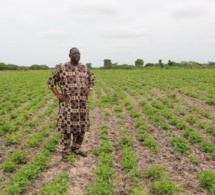 Problème d’inondation : La Premiére instruction ferme de Macky Sall