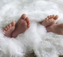 Parcelles assainies "Case bi": Des jumeaux morts abandonnés dans un dépôt d'ordures!