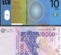 CFA-Eco : la monnaie unique de la Cedeao « différée à une date ultérieure »