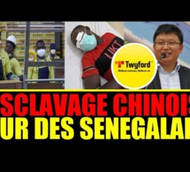 En conditions inhumaines dans son propre pays : Retour sur le mouvement de colère contre l’esclavage des chinois sur des Sénégalais