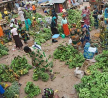 Banque mondiale : « Le système alimentaire est très loin de pouvoir nous aider à réaliser les Objectifs de développement durable