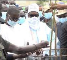 ILA'A TOUBA - Abdou Karim Sall et Cheikh Bass procèdent au lancement de la campagne de reboisement de 24 000 plants tout au long de l'autoroute.