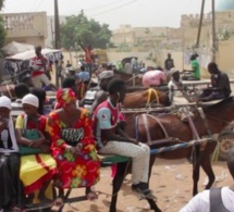 Magal 2020 : 40.000 charretiers attendus à Touba