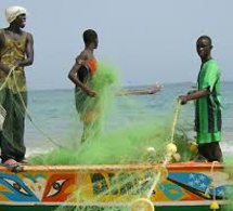 Licences de pêche: Les pêcheurs de Thiaroye -sur-mer tirent sur Alioune Ndoye