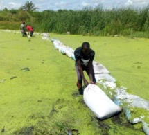 Inondations : Le calvaire quotidien des populations de la Cité Mame Alpha Mayoro Wéllé de la commune de Gaë.