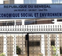 Le Conseil économique social et environnemental a un nouveau bureau