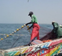 Sécurité en mer au Sénégal : vers une ‘’solution innovante’’ de suivi VMS adaptées aux petites embarcations pour leur géolocalisation