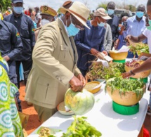 Tournée agricole de Macky Sall: En images, l'étape de Sibassor