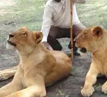 Macky Sall relance le tourisme local avec de vrais lions