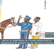 Atelier de vulgarisation de l'arrêté interministériel portant réglementation du transport par des véhicules à traction animale