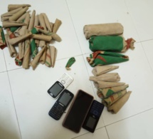 Vente de chanvre indien à Mbacké / Un grand chef de réseau est tombé avec 750 grammes.