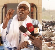 Magal et crise Malienne – Serigne saliou thioune fait une révélation de taille « Pourquoi on est pas parti au Mali pour des bœufs »