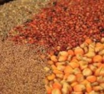 Résidus et contamination dans les produits alimentaires: les sénégalais en danger de mort