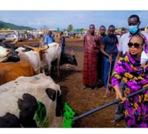 Sokhna Aïda Diallo, Ses 100 bœufs et ses mallettes d’argent rejetés par le Khalif, Serigne Bass Abdou Khadre a également décliné