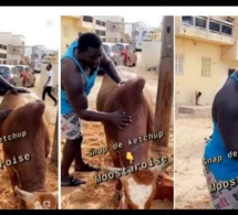 Safar avant Magal – Balla Gaye 2 : “Niary naak lay ray chaque jour…”